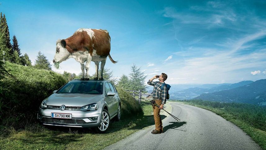 vw volkswagen mobilitaetsgarantie kuh wandern