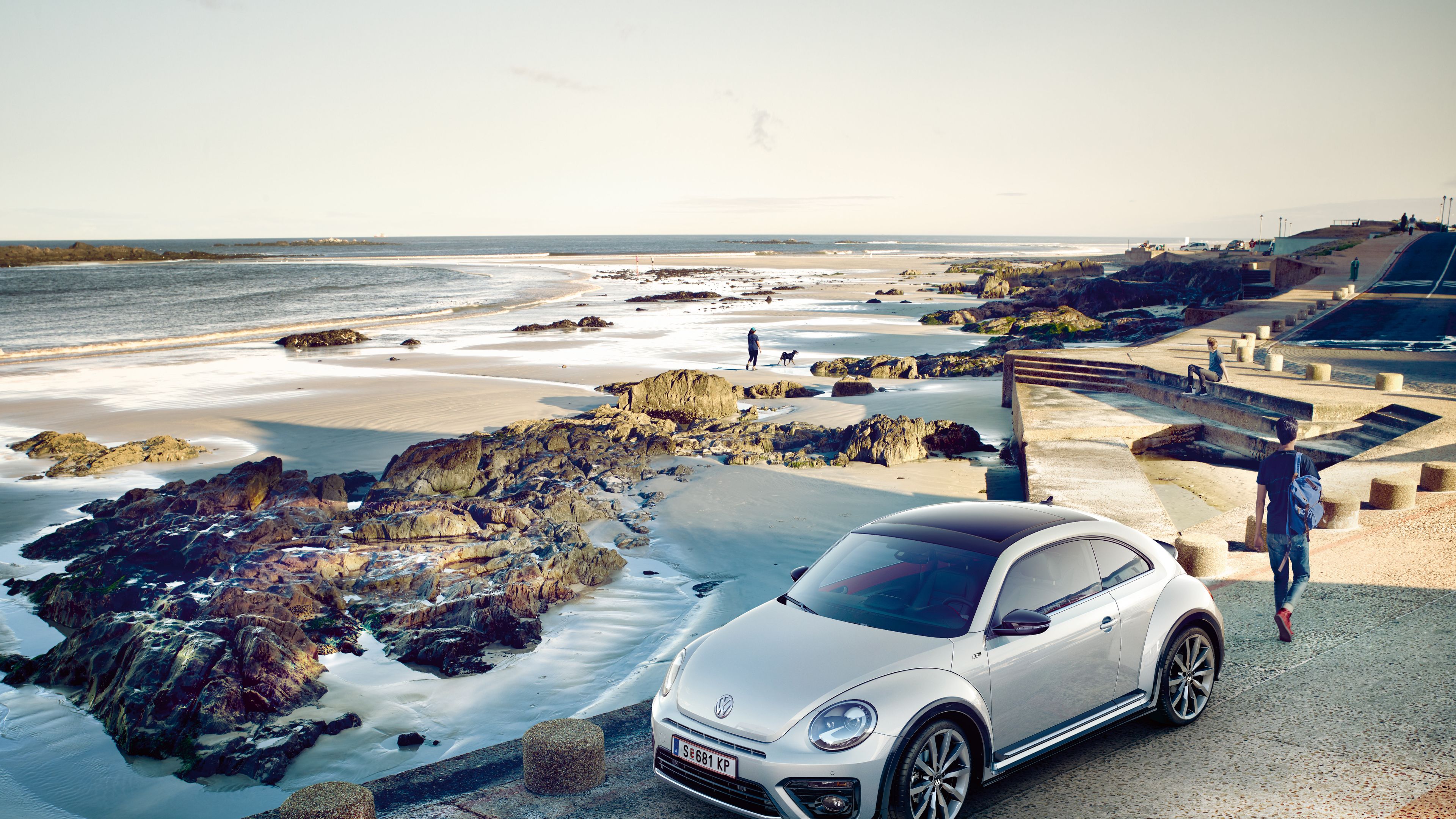 VW Beetle сребрист в профил